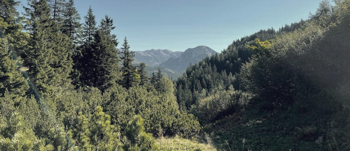Berglandschaft im Ausseerland